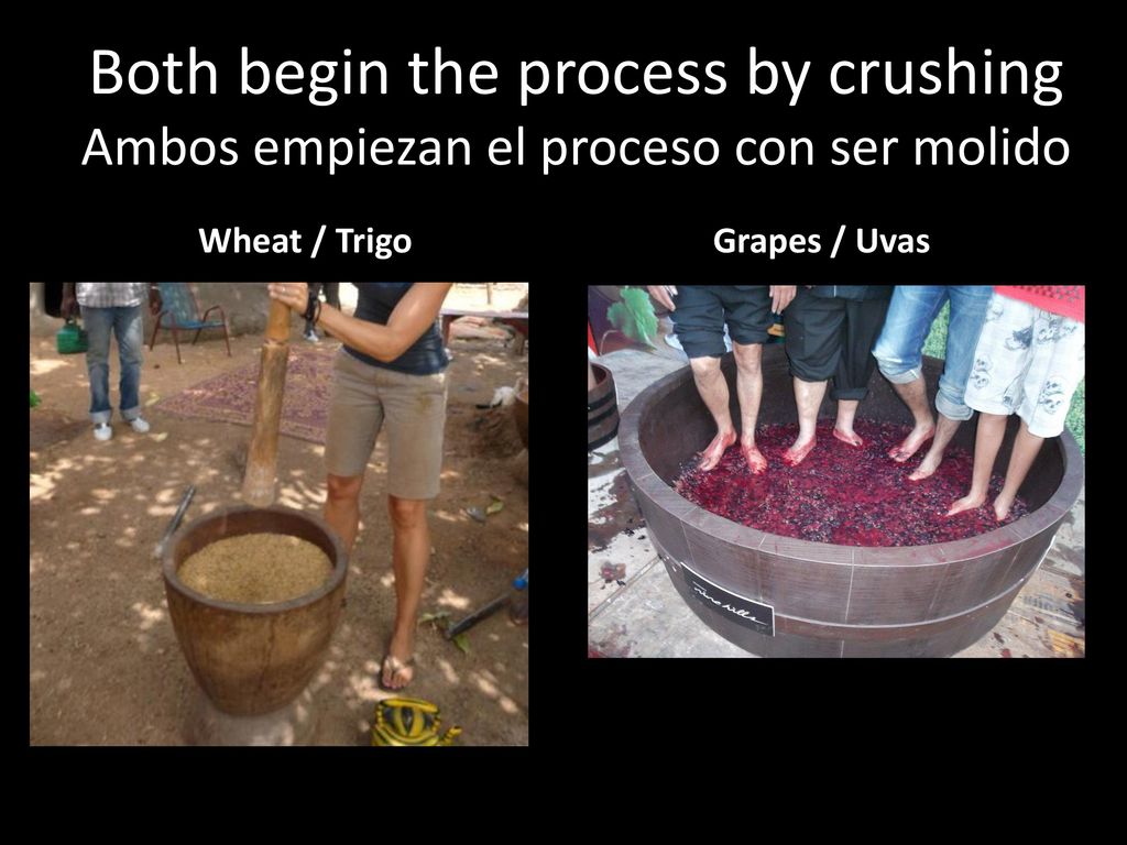 Both begin the process by crushing Ambos empiezan el proceso con ser molido
