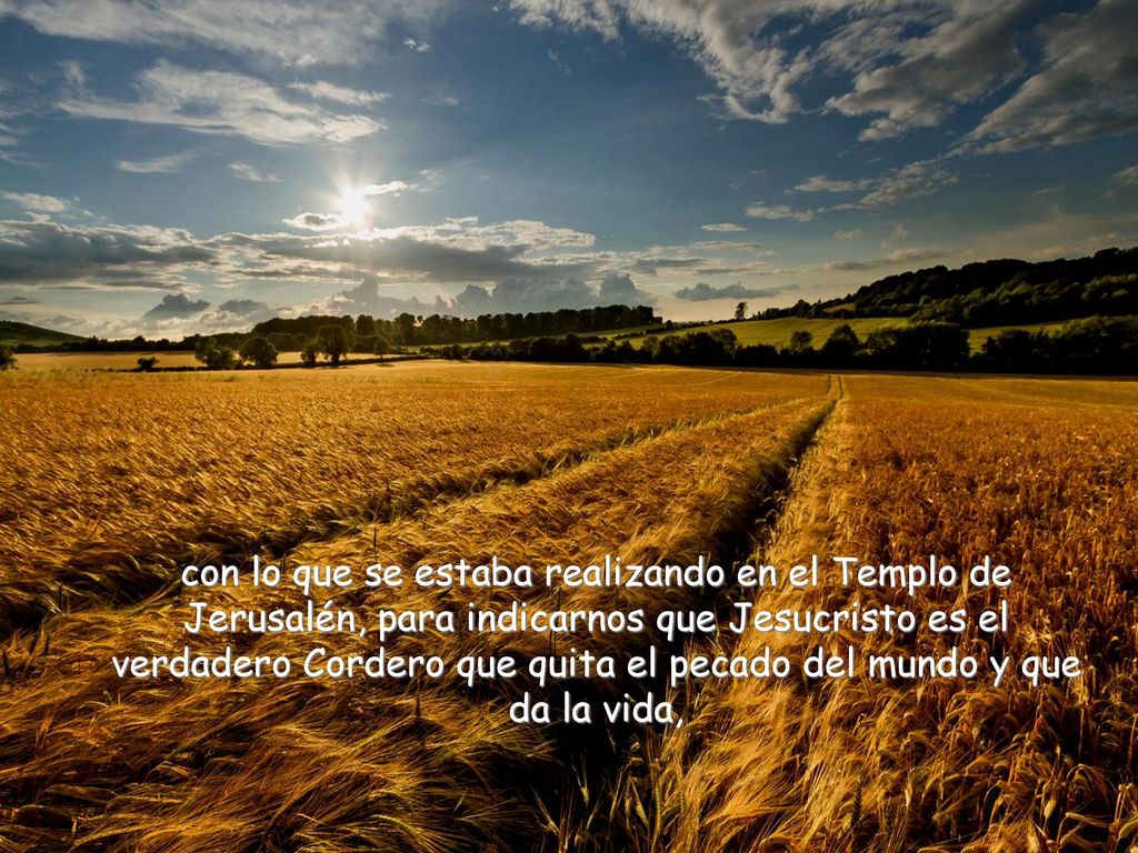 con lo que se estaba realizando en el Templo de Jerusalén, para indicarnos que Jesucristo es el verdadero Cordero que quita el pecado del mundo y que da la vida,
