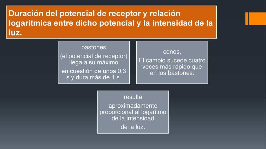 Duración del potencial de receptor y relación logarítmica entre dicho potencial y la intensidad de la luz.