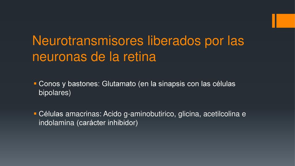 Neurotransmisores liberados por las neuronas de la retina
