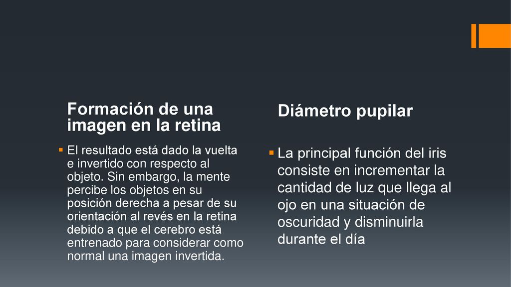 Formación de una imagen en la retina Diámetro pupilar