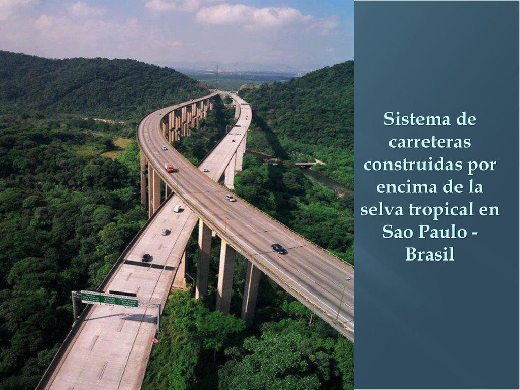 Sistema de carreteras construidas por encima de la selva tropical en Sao Paulo - Brasil