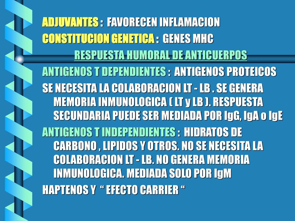 ADJUVANTES : FAVORECEN INFLAMACION CONSTITUCION GENETICA : GENES MHC RESPUESTA HUMORAL DE ANTICUERPOS ANTIGENOS T DEPENDIENTES : ANTIGENOS PROTEICOS SE NECESITA LA COLABORACION LT - LB .