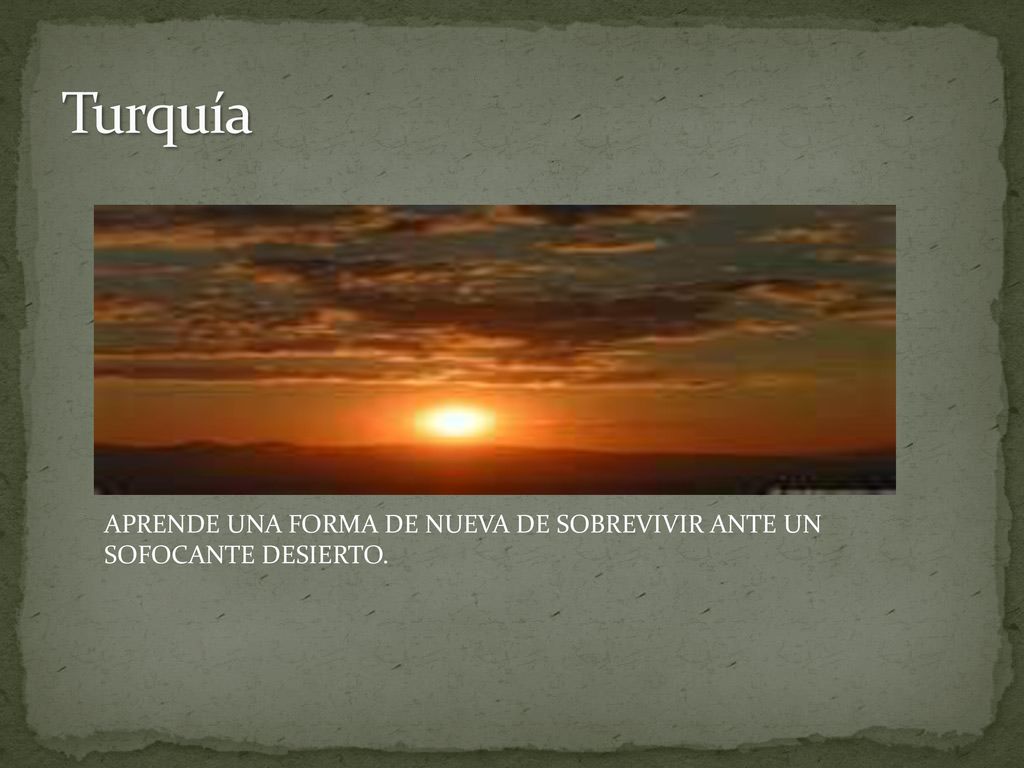 Turquía APRENDE UNA FORMA DE NUEVA DE SOBREVIVIR ANTE UN SOFOCANTE DESIERTO.