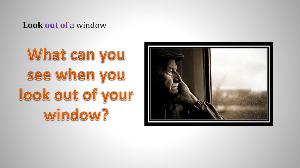What can you see when you look out of your window