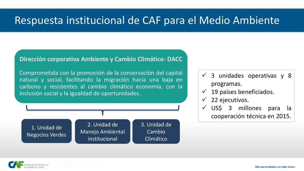 Dirección corporativa Ambiente y Cambio Climático- DACC