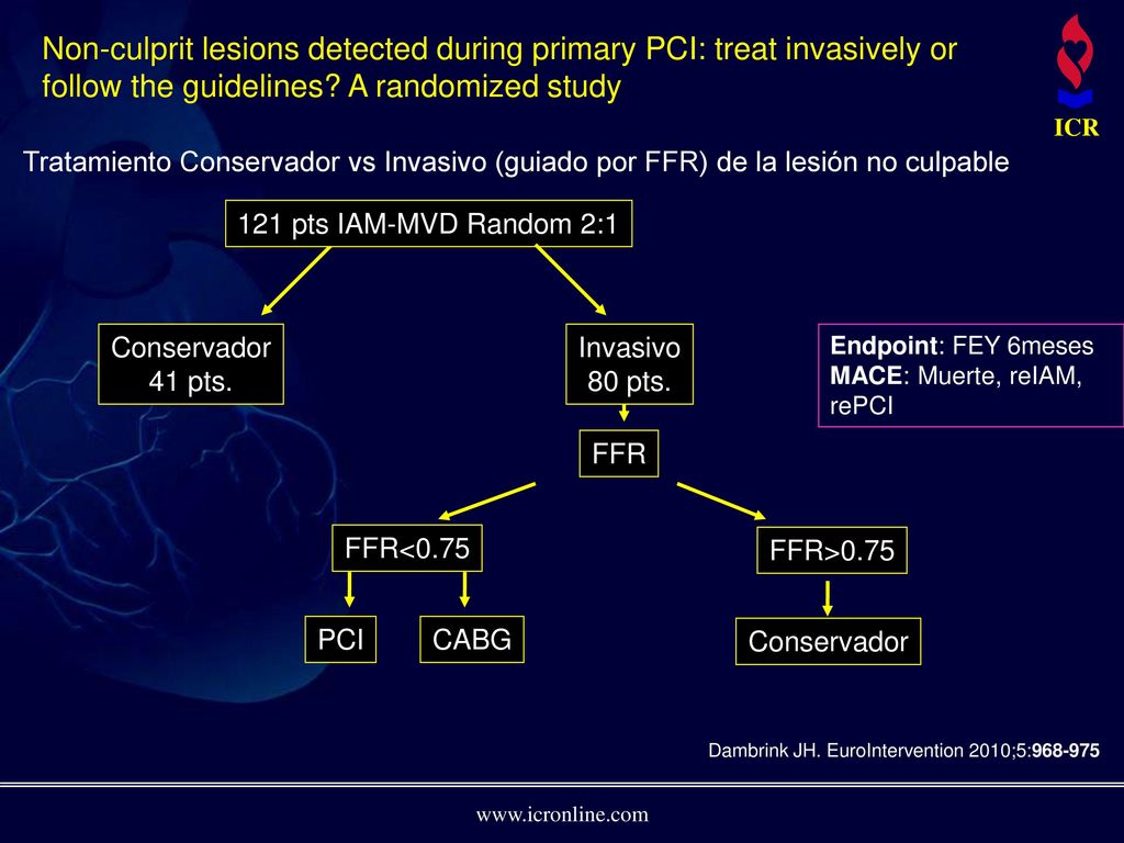 Non-culprit lesions detected during primary PCI: treat invasively or follow the guidelines A randomized study
