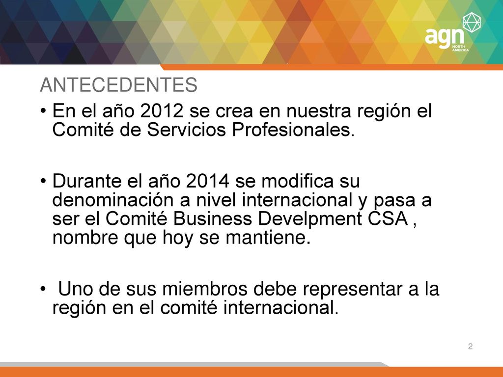ANTECEDENTES En el año 2012 se crea en nuestra región el Comité de Servicios Profesionales.