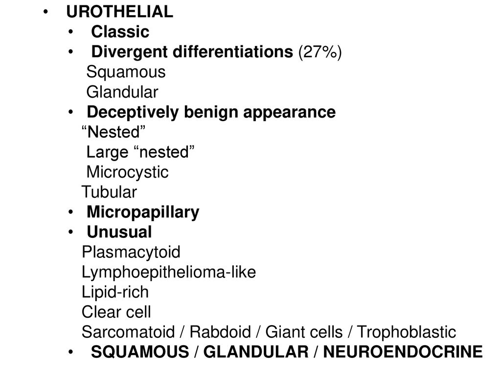 UROTHELIAL Classic. Divergent differentiations (27%) Squamous. Glandular. Deceptively benign appearance.