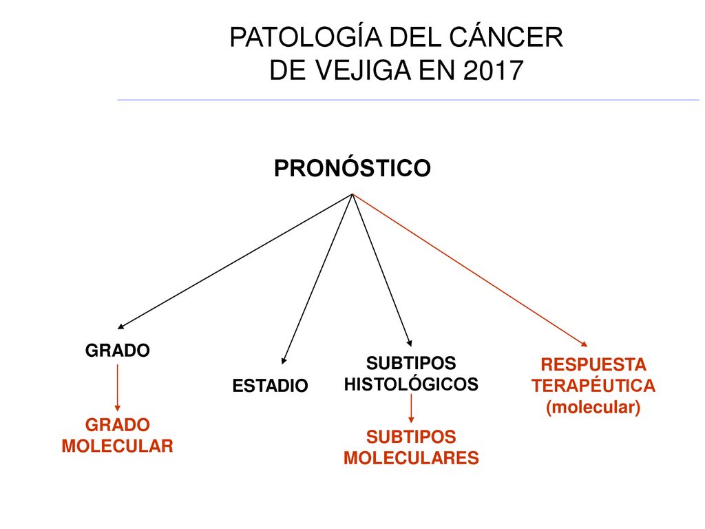 PATOLOGÍA DEL CÁNCER DE VEJIGA EN 2017 PRONÓSTICO GRADO SUBTIPOS