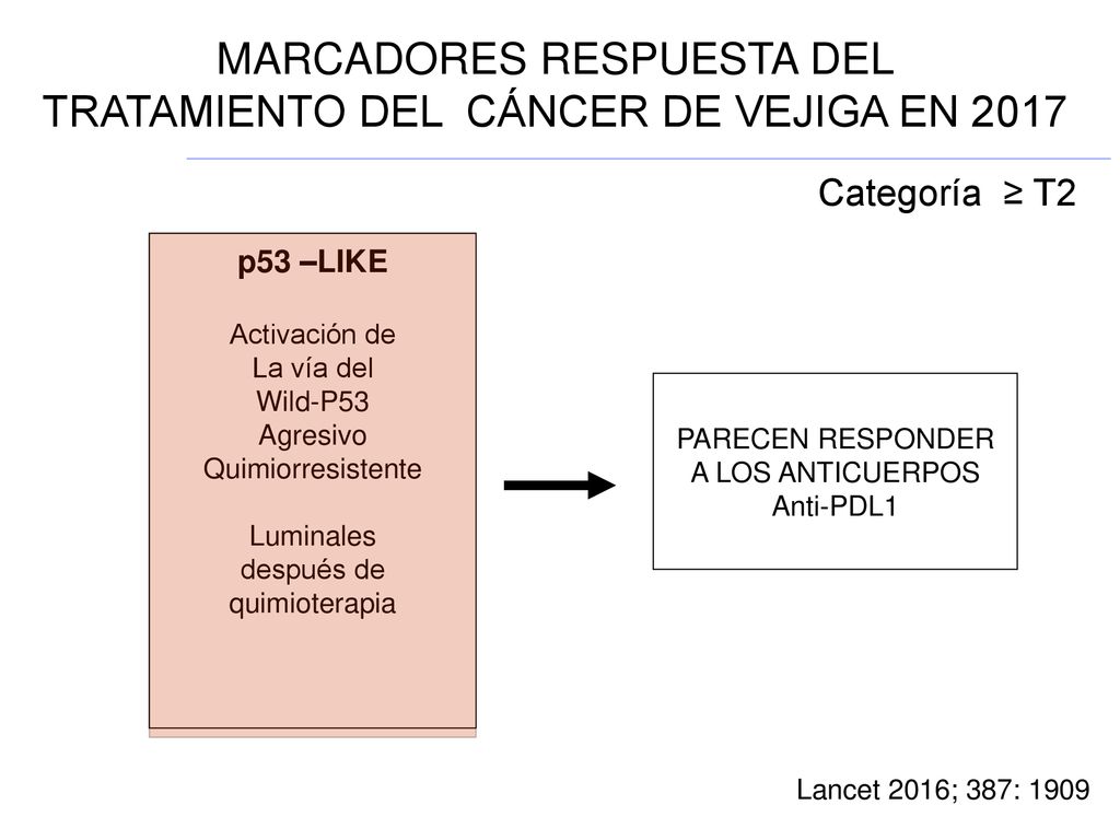 MARCADORES RESPUESTA DEL TRATAMIENTO DEL CÁNCER DE VEJIGA EN 2017
