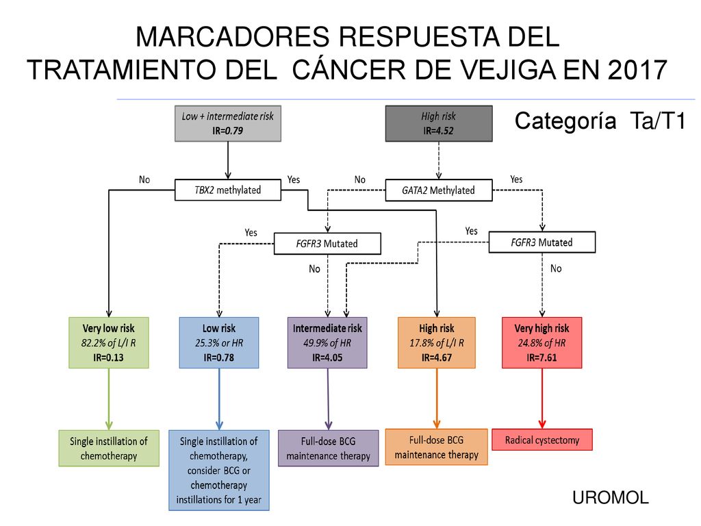 MARCADORES RESPUESTA DEL TRATAMIENTO DEL CÁNCER DE VEJIGA EN 2017