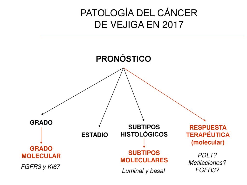 PATOLOGÍA DEL CÁNCER DE VEJIGA EN 2017 PRONÓSTICO GRADO SUBTIPOS