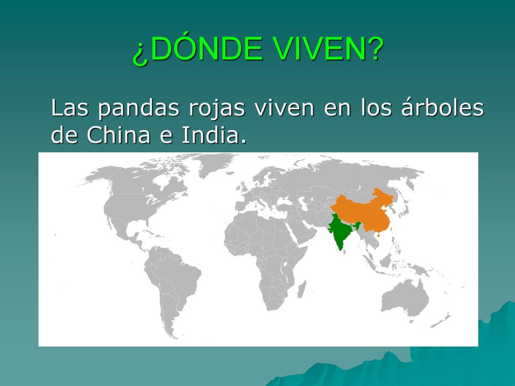 ¿DÓNDE VIVEN Las pandas rojas viven en los árboles de China e India.