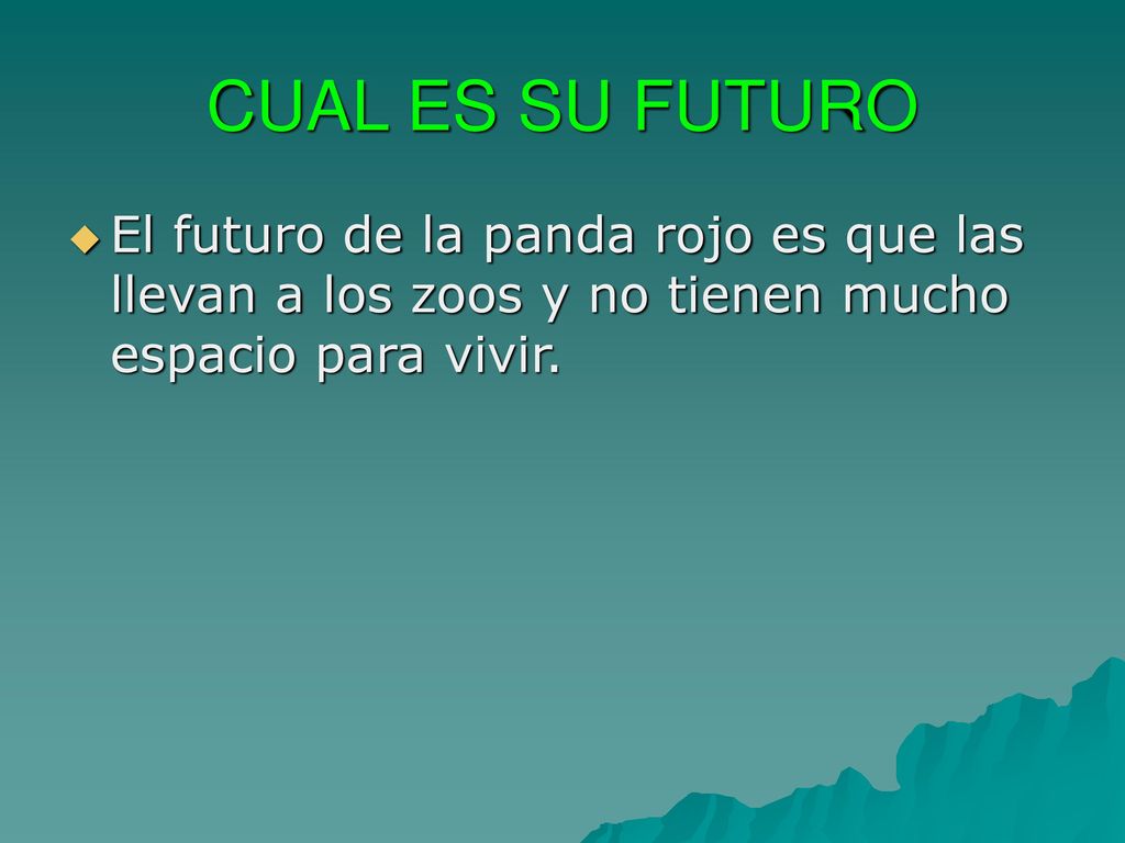 CUAL ES SU FUTURO El futuro de la panda rojo es que las llevan a los zoos y no tienen mucho espacio para vivir.