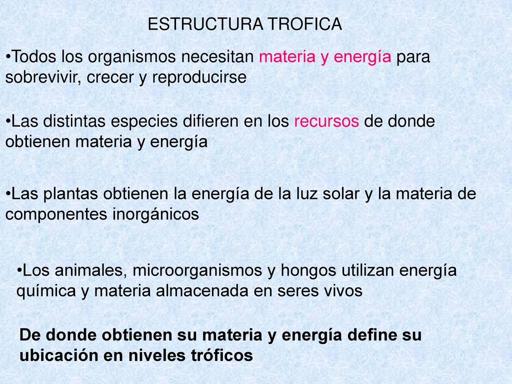 ESTRUCTURA TROFICA Todos los organismos necesitan materia y energía para sobrevivir, crecer y reproducirse.