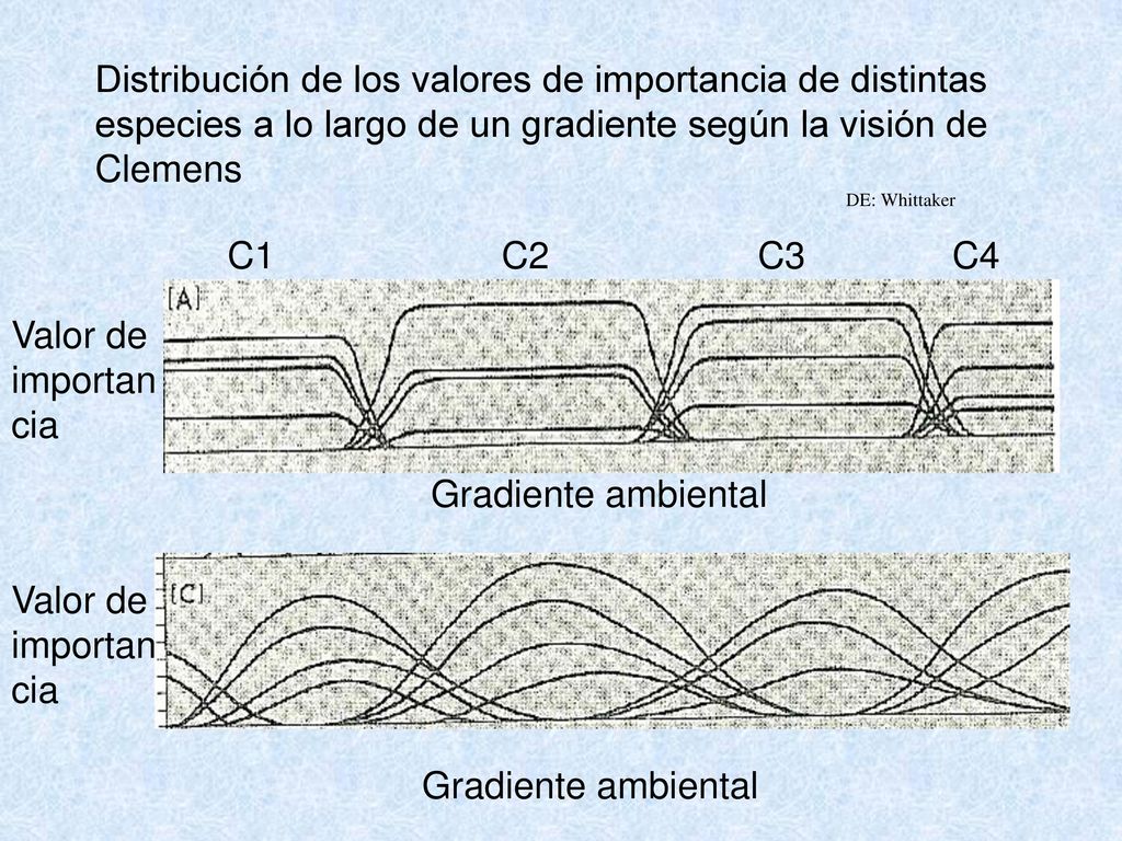 Distribución de los valores de importancia de distintas especies a lo largo de un gradiente según la visión de Clemens