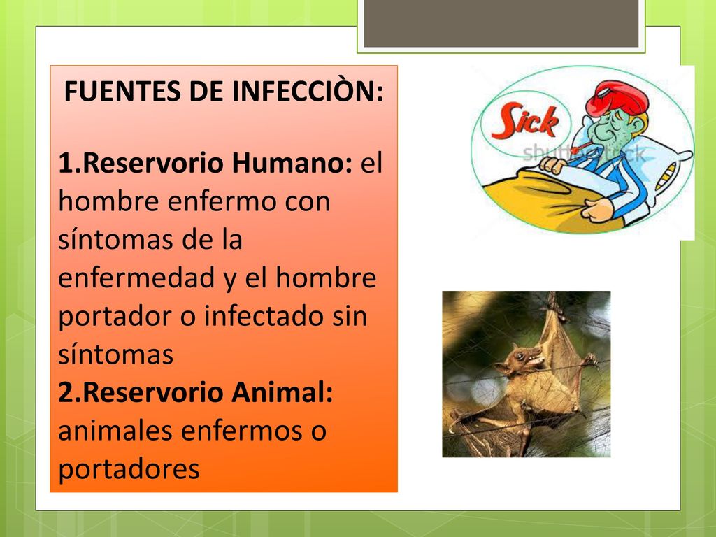 FUENTES DE INFECCIÒN: Reservorio Humano: el hombre enfermo con síntomas de la enfermedad y el hombre portador o infectado sin síntomas.