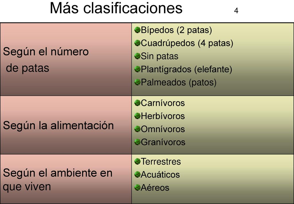 Más clasificaciones 4 Según el número de patas Según la alimentación