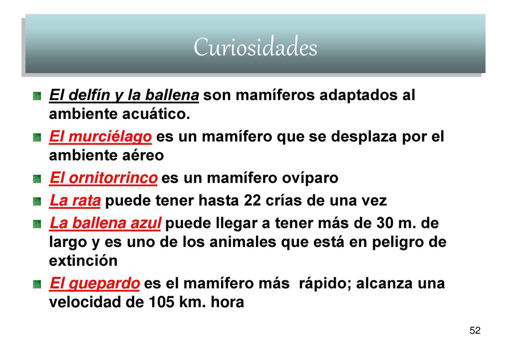 Curiosidades El delfín y la ballena son mamíferos adaptados al ambiente acuático. El murciélago es un mamífero que se desplaza por el ambiente aéreo.