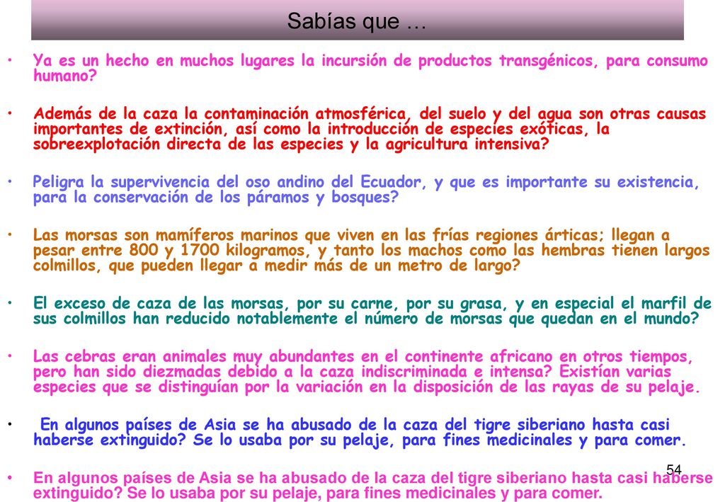 Sabías que … Ya es un hecho en muchos lugares la incursión de productos transgénicos, para consumo humano