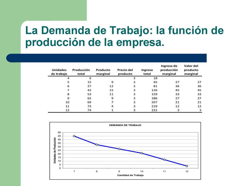 La Demanda de Trabajo: la función de producción de la empresa.