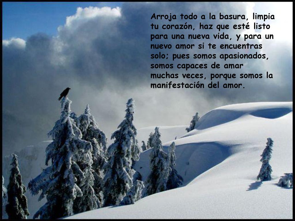 Arroja todo a la basura, limpia tu corazón, haz que esté listo para una nueva vida, y para un nuevo amor si te encuentras solo; pues somos apasionados, somos capaces de amar muchas veces, porque somos la manifestación del amor.