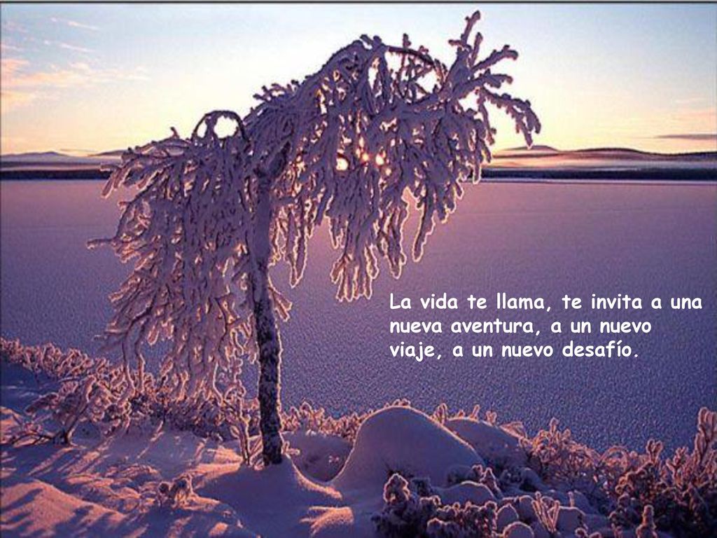 La vida te llama, te invita a una nueva aventura, a un nuevo viaje, a un nuevo desafío.