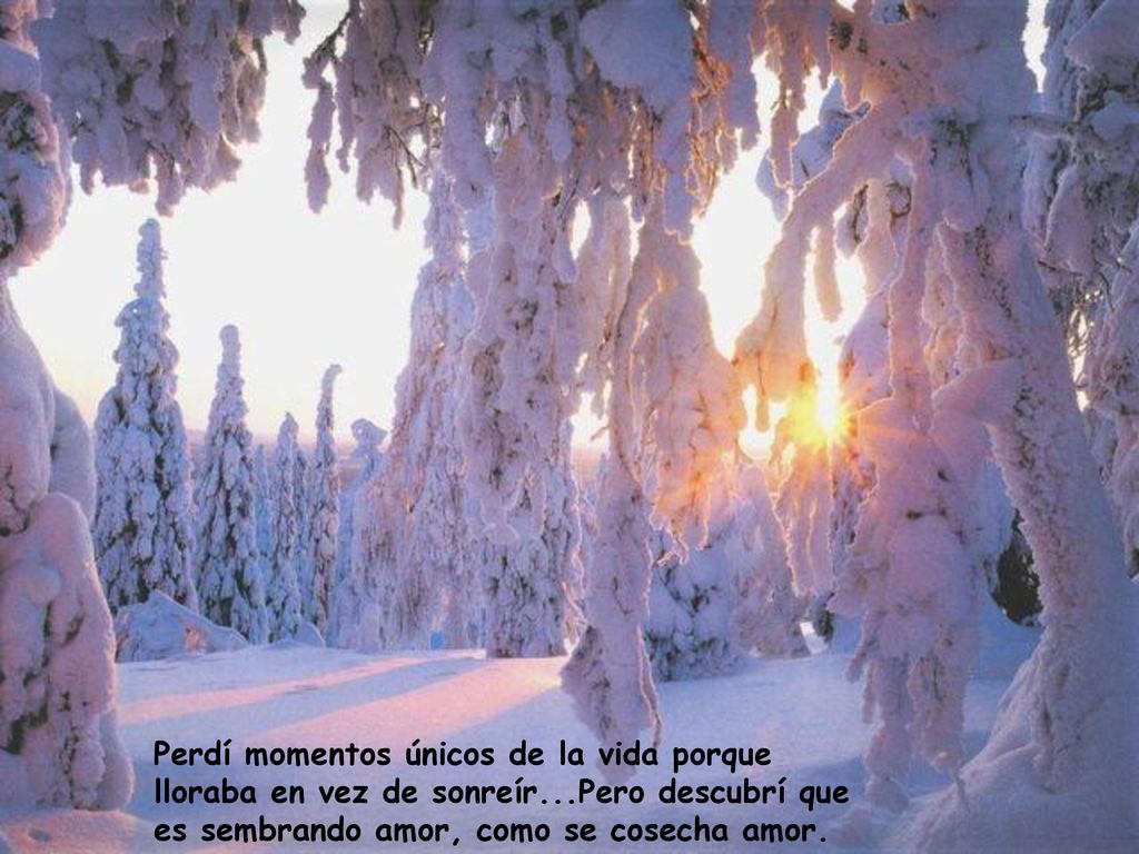 Perdí momentos únicos de la vida porque lloraba en vez de sonreír