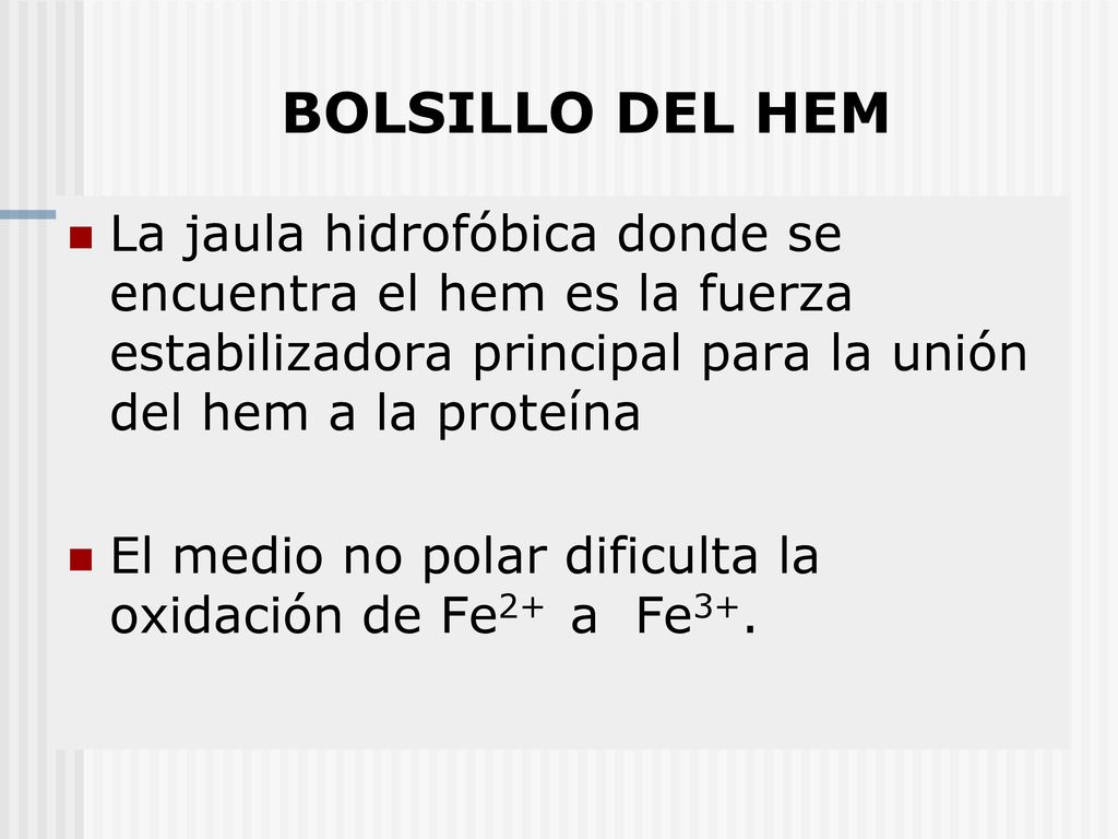 BOLSILLO DEL HEM La jaula hidrofóbica donde se encuentra el hem es la fuerza estabilizadora principal para la unión del hem a la proteína.