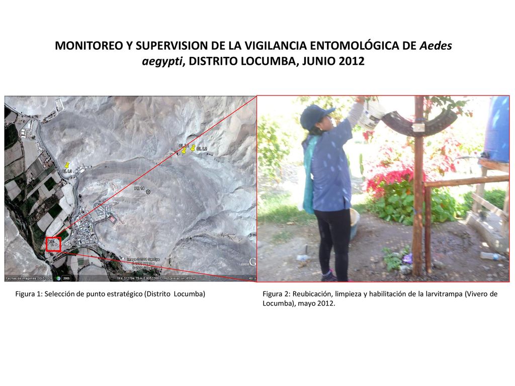 MONITOREO Y SUPERVISION DE LA VIGILANCIA ENTOMOLÓGICA DE Aedes aegypti, DISTRITO LOCUMBA, JUNIO 2012