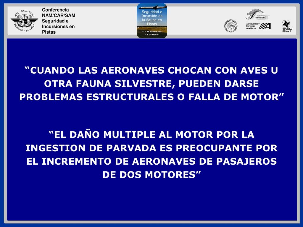 CUANDO LAS AERONAVES CHOCAN CON AVES U OTRA FAUNA SILVESTRE, PUEDEN DARSE PROBLEMAS ESTRUCTURALES O FALLA DE MOTOR
