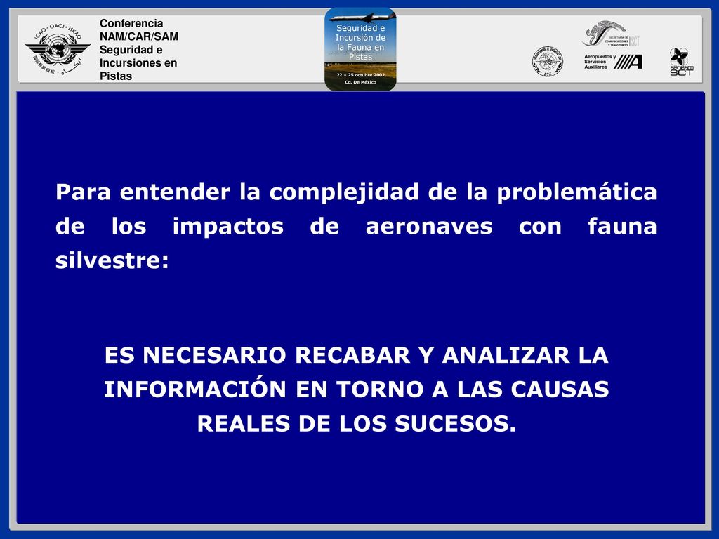 Para entender la complejidad de la problemática de los impactos de aeronaves con fauna silvestre: