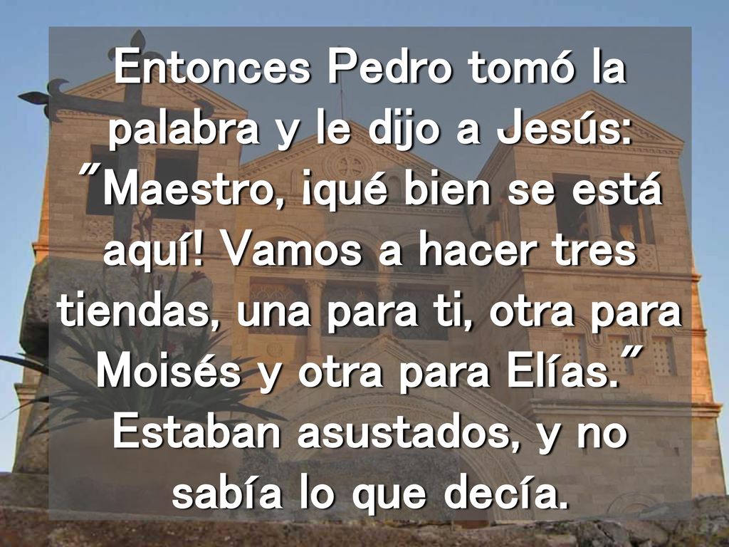 Entonces Pedro tomó la palabra y le dijo a Jesús: Maestro, ¡qué bien se está aquí.