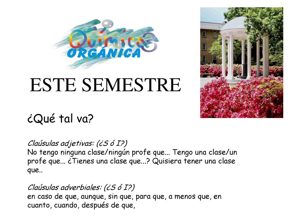ESTE SEMESTRE ¿Qué tal va Claúsulas adjetivas: (¿S ó I )