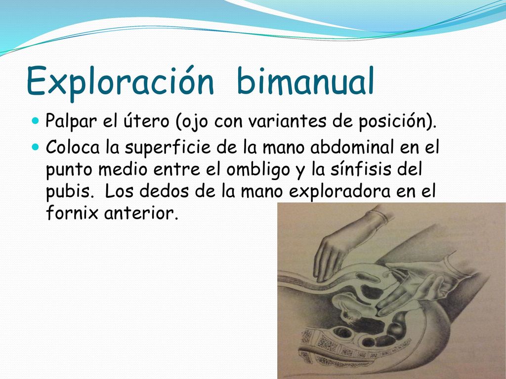 Exploración bimanual Palpar el útero (ojo con variantes de posición).
