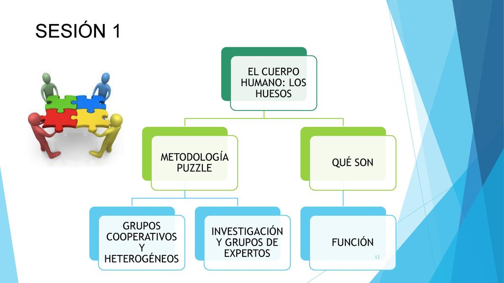 SESIÓN 1 EL CUERPO HUMANO: LOS HUESOS METODOLOGÍA PUZZLE QUÉ SON
