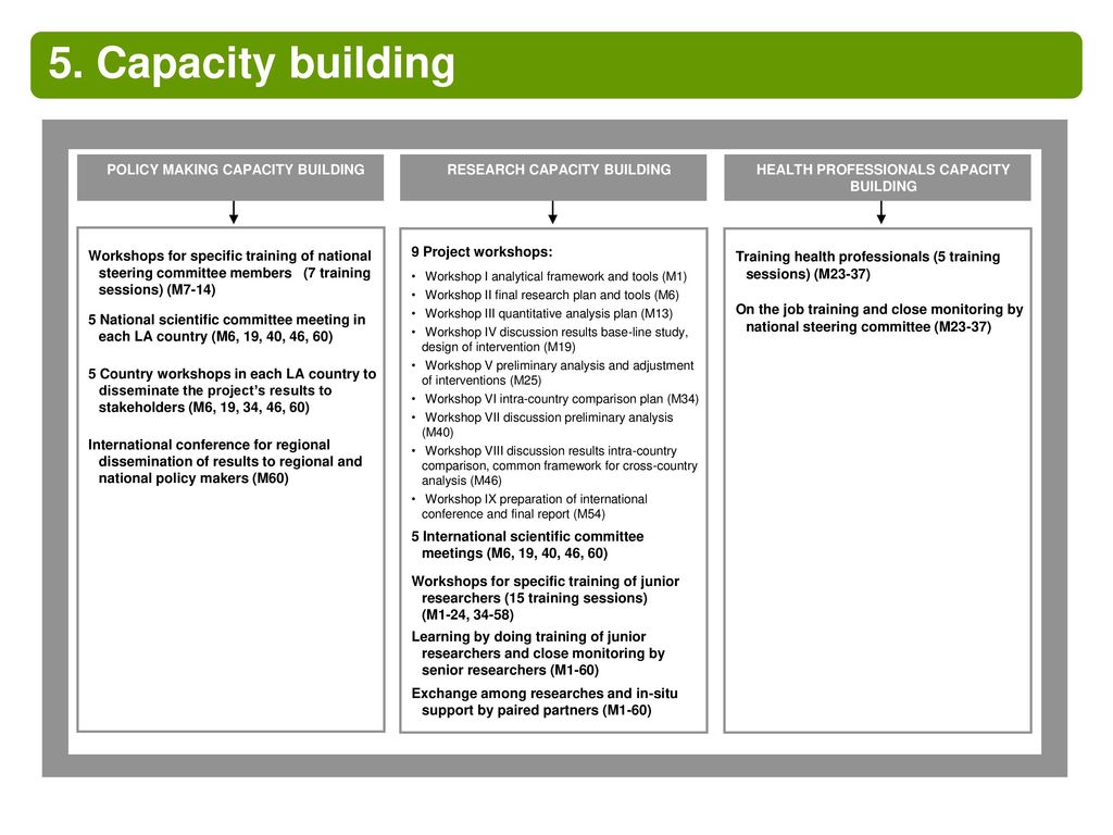 5. Capacity building Workshops for specific training of national steering committee members (7 training sessions) (M7-14)