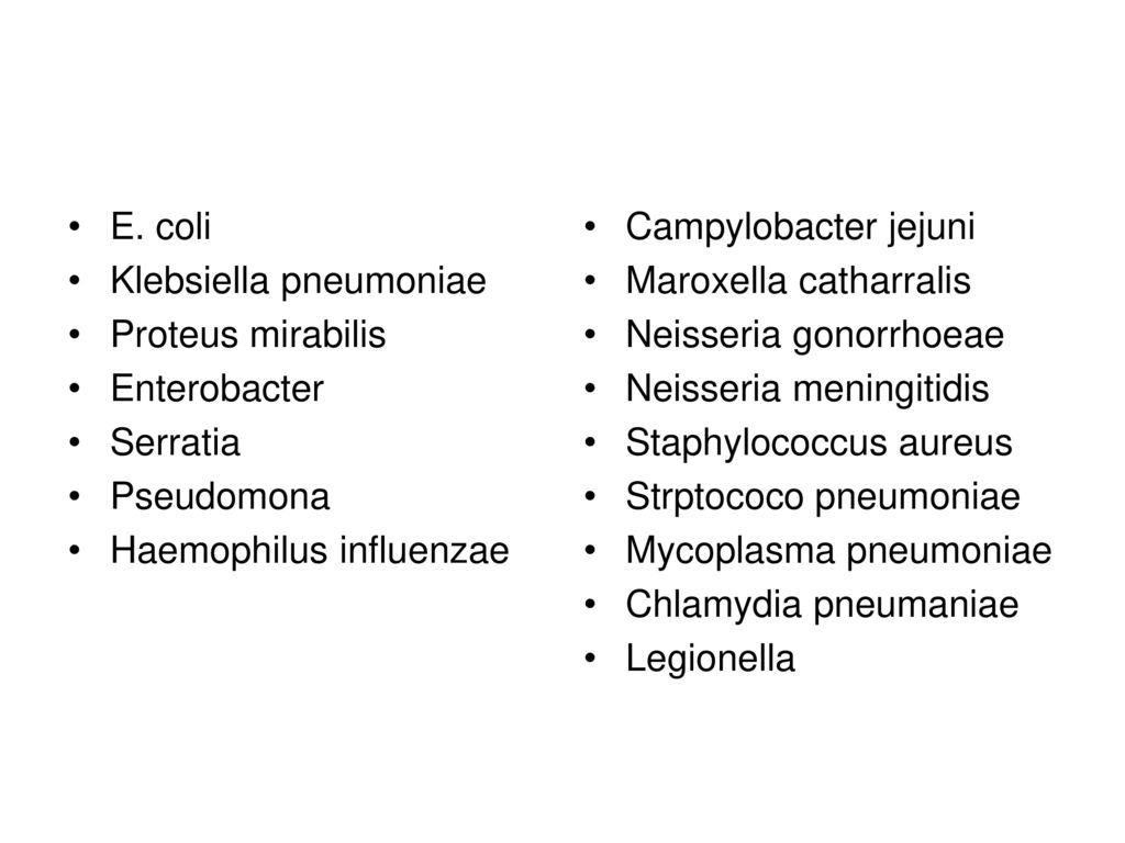 E. coli Klebsiella pneumoniae. Proteus mirabilis. Enterobacter. Serratia. Pseudomona. Haemophilus influenzae.