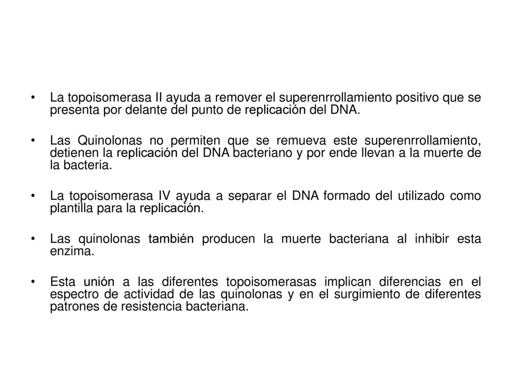 La topoisomerasa II ayuda a remover el superenrrollamiento positivo que se presenta por delante del punto de replicación del DNA.