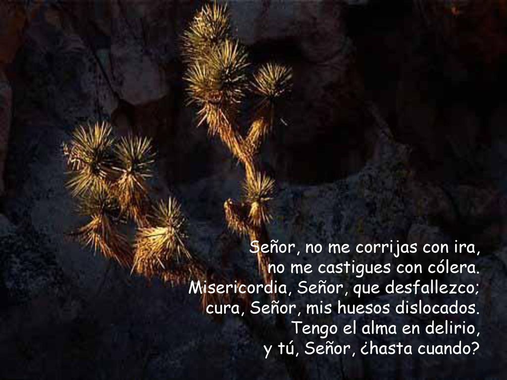 Señor, no me corrijas con ira,