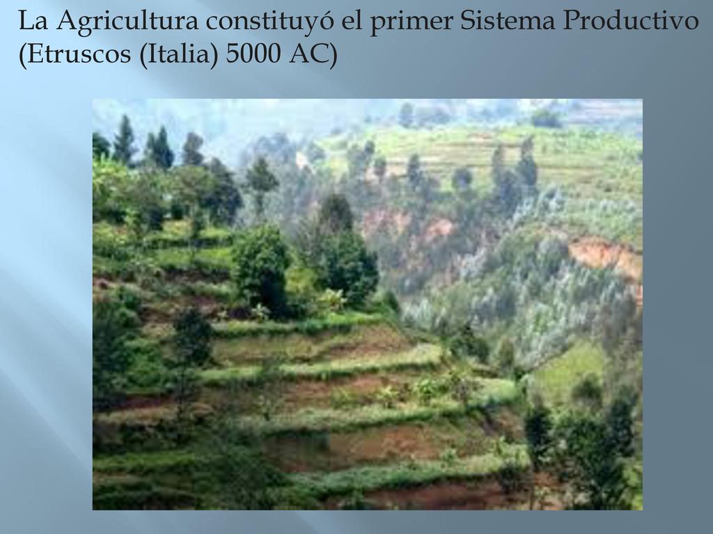 La Agricultura constituyó el primer Sistema Productivo (Etruscos (Italia) 5000 AC)