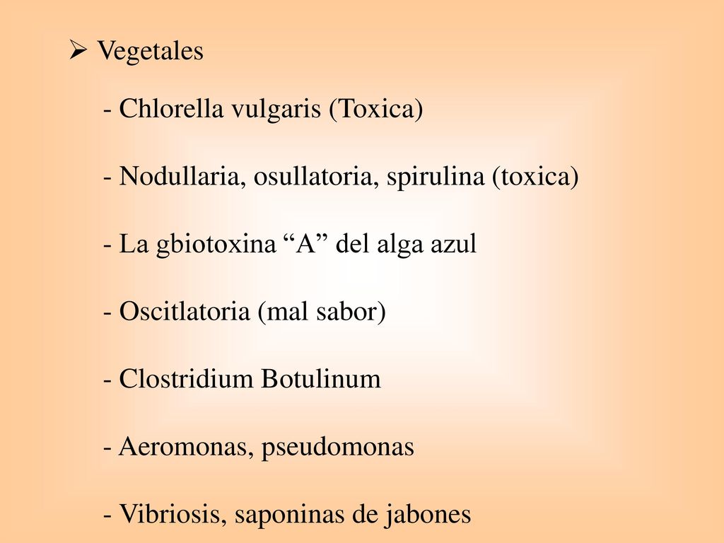 Vegetales - Chlorella vulgaris (Toxica) - Nodullaria, osullatoria, spirulina (toxica) - La gbiotoxina A del alga azul.
