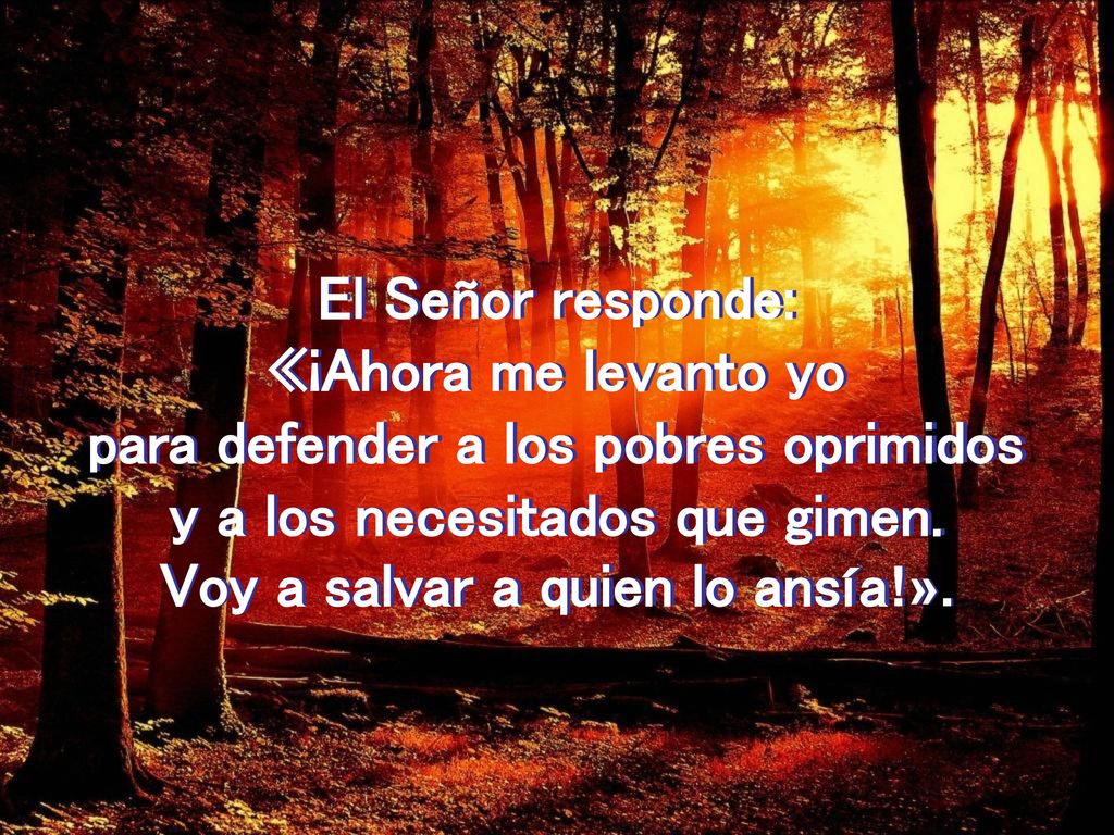 para defender a los pobres oprimidos y a los necesitados que gimen.