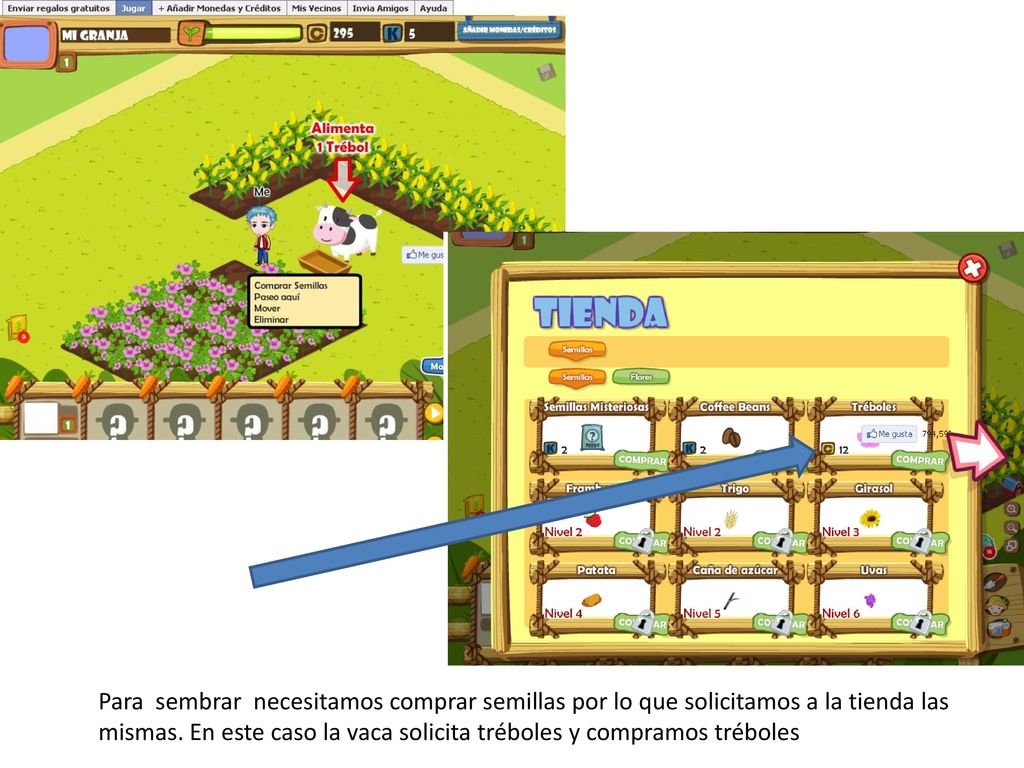 Para sembrar necesitamos comprar semillas por lo que solicitamos a la tienda las mismas.