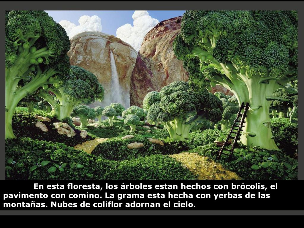 En esta floresta, los árboles estan hechos con brócolis, el pavimento con comino.