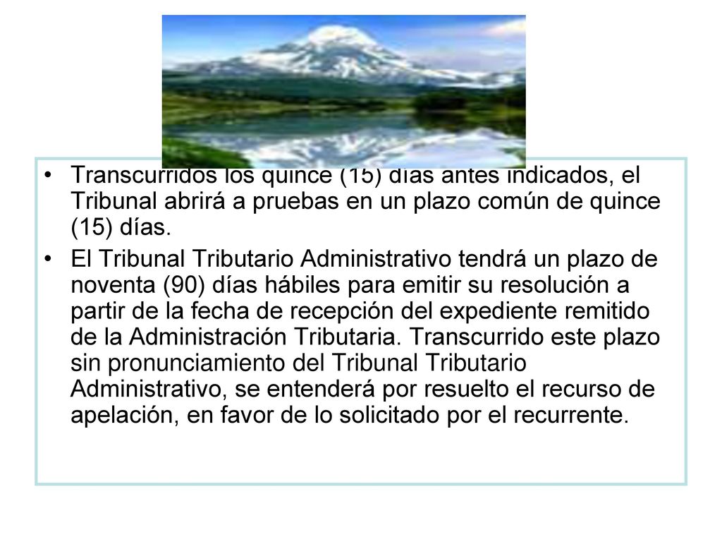 Transcurridos los quince (15) días antes indicados, el Tribunal abrirá a pruebas en un plazo común de quince (15) días.