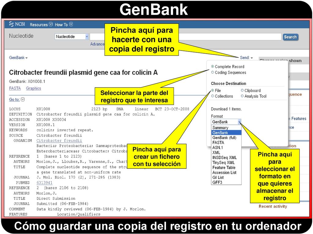 Cómo guardar una copia del registro en tu ordenador