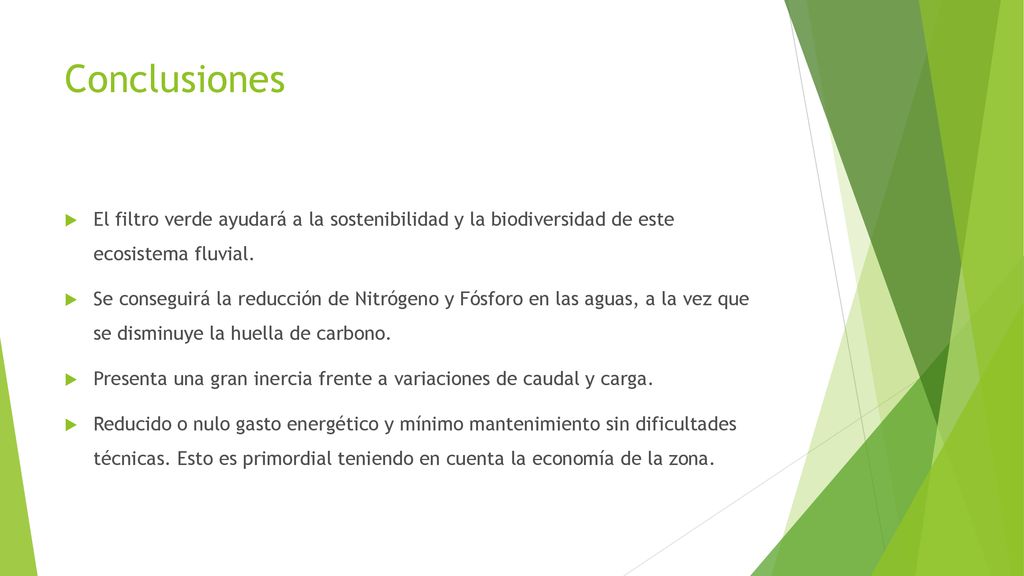 Conclusiones El filtro verde ayudará a la sostenibilidad y la biodiversidad de este ecosistema fluvial.