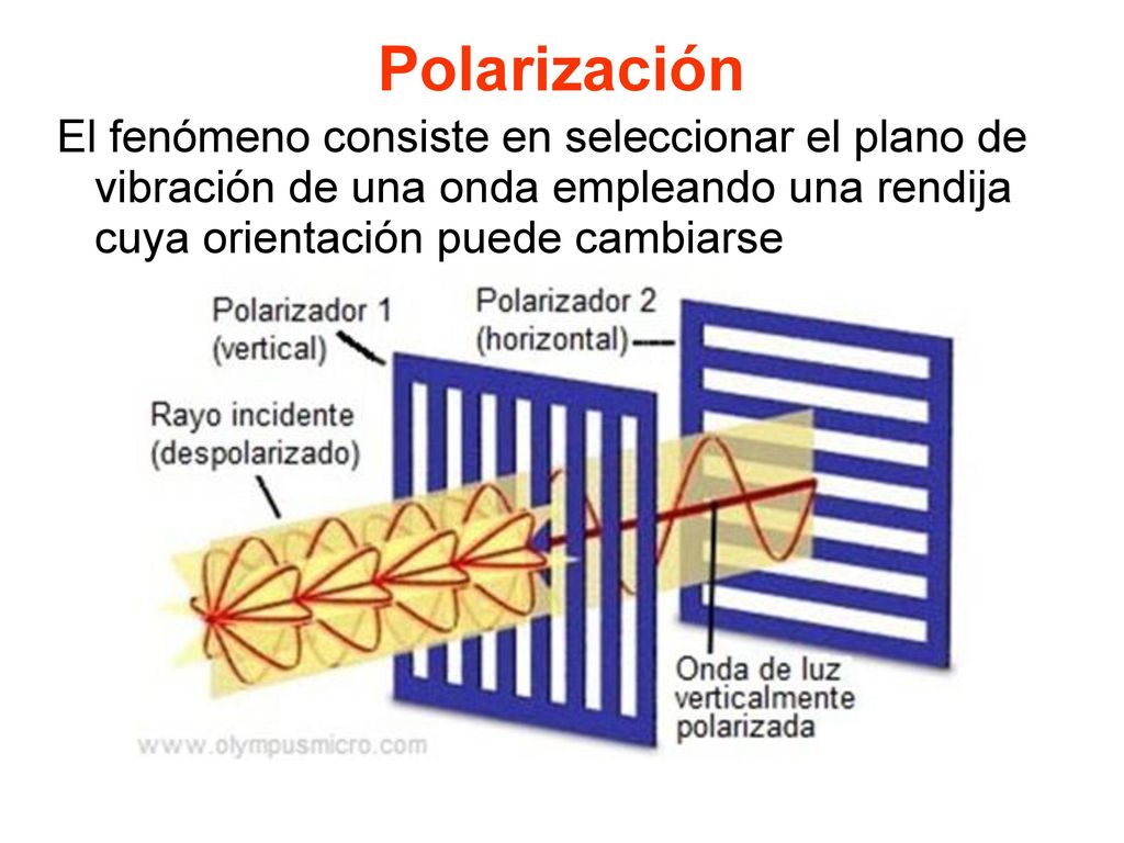 Polarización El fenómeno consiste en seleccionar el plano de vibración de una onda empleando una rendija cuya orientación puede cambiarse.